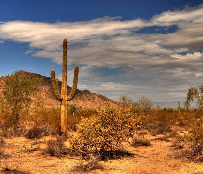 Are you in a financial emergency in Chandler, AZ, and can't get any quick cash? No worries! At Express Car Title Loans, we understand these situations can happen to anyone anytime, so we are here to help. 

Check our site to learn more!

#Chandler #titleloans #expresscar