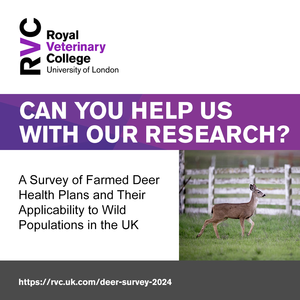 🦌 Can you help us with our research into the health of farmed deer? We are keen to hear from anyone who works with farmed deer and is resident in the UK and over the age of 18 years. ⏲️ Takes 10-15 minutes. 📅Deadline: 23rd April 5pm ➡️ Take part: rvc.uk.com/deer