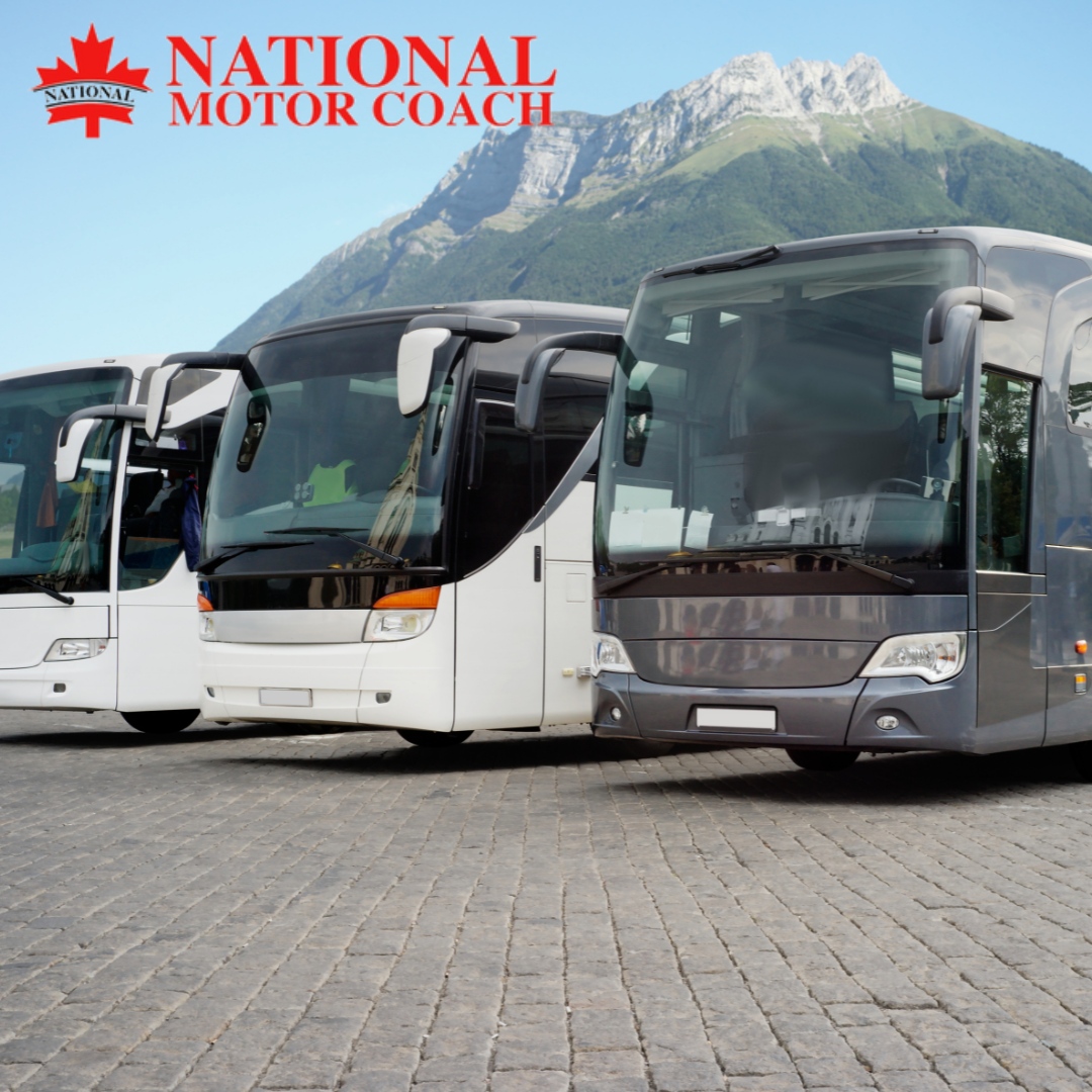 Safety first, always! We prioritize the well-being of our passengers with top-notch safety standards & certified drivers.  🚌

🌐 nationalmotorcoach.com
.
.
.
#NationalMotorCoach #TransportationServices #Calgary #Banff #Edmonton #Richmond #BusCharter #PrivateBusCharter #Chart...