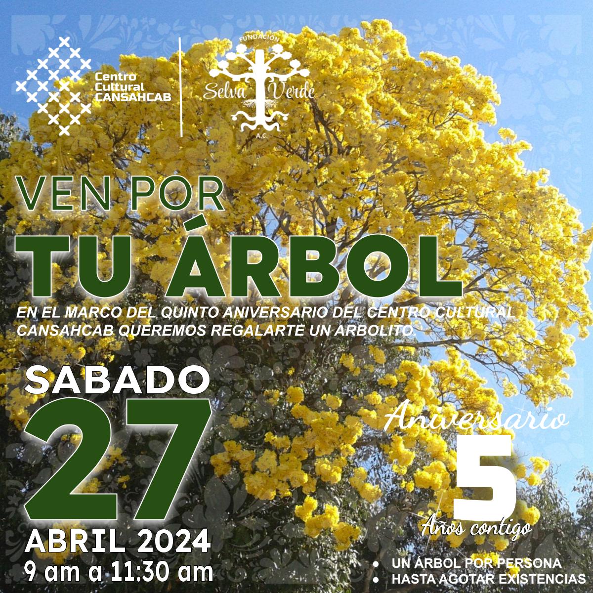 CansahcabCC's tweet photo. ¡La emoción crece a medida que nos acercamos! En 8 días estaremos regalando árboles en honor al quinto aniversario de nuestro centro cultural. ¡Únete a nosotros y haz tu parte por el medio ambiente! 🌿 #AdoptaUnÁrbol #follow #repost #lifestyle #love #happy #ecologico #eco #nature https://t.co/urflAC7b1x