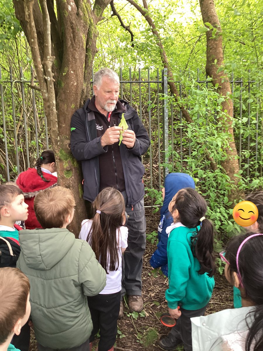 Springwood_Prm's tweet image. Year 1/2 loved their outdoor learning today! #SpringWellbeing