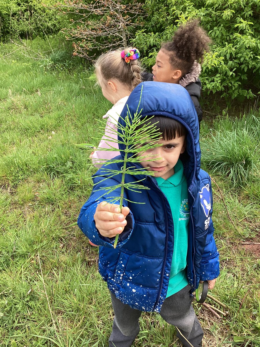 Springwood_Prm's tweet image. Year 1/2 loved their outdoor learning today! #SpringWellbeing