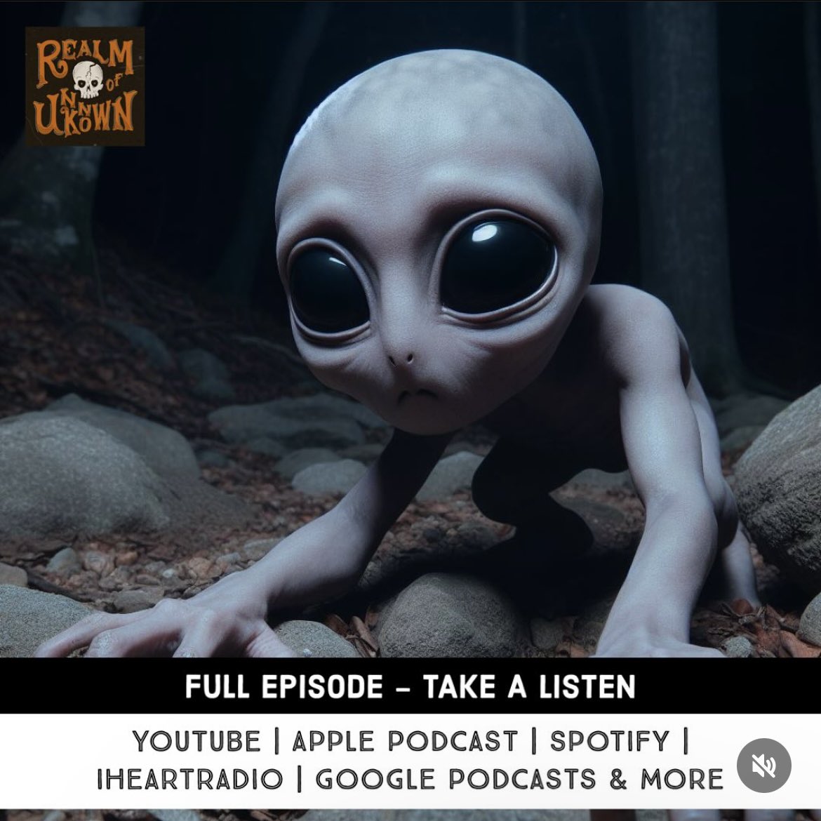 Realm of Unknown tweet media