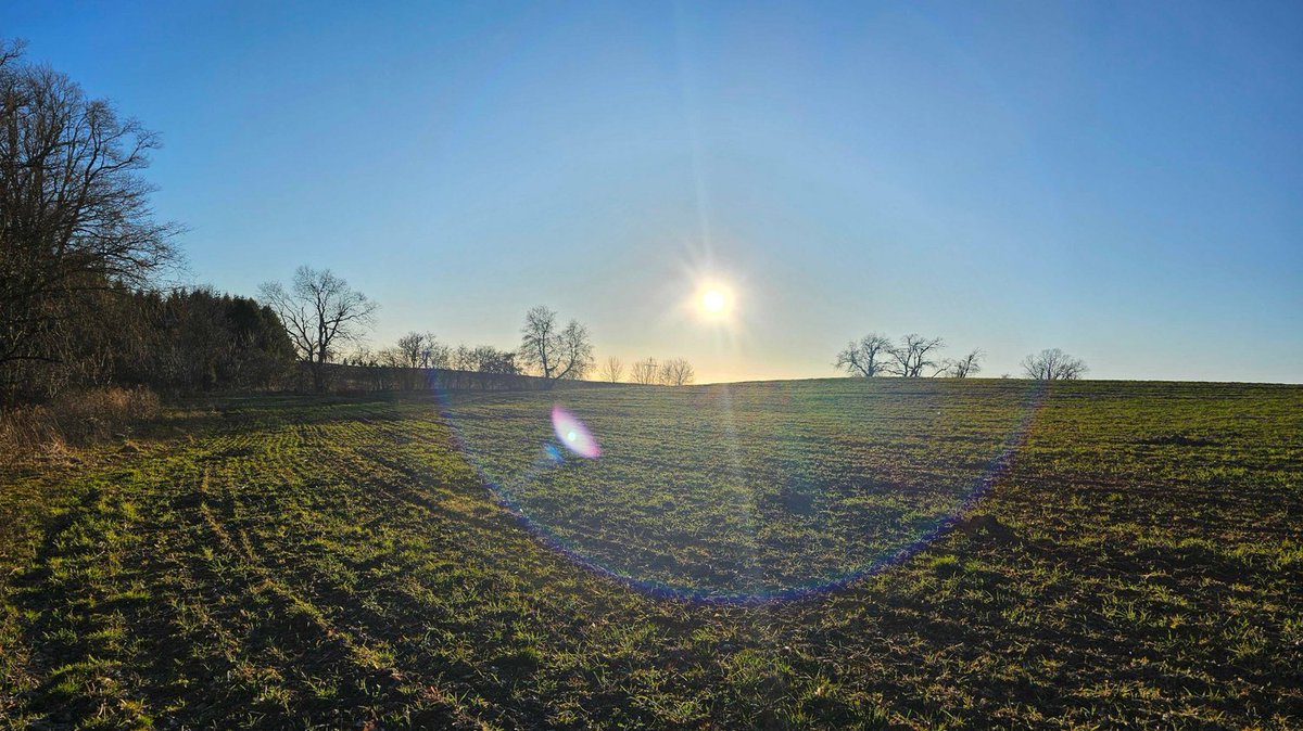 Nothing to see here, just some gorgeous spring sunshine over a field of cover crops 😉 Happy Friyay!

#Beauty #FromTheField #OntarioFarming #Sunshine #SpringViews #CoverCrops #OrganicAgriculture #SoilHealth #SpringThings #SustainableAgriculture