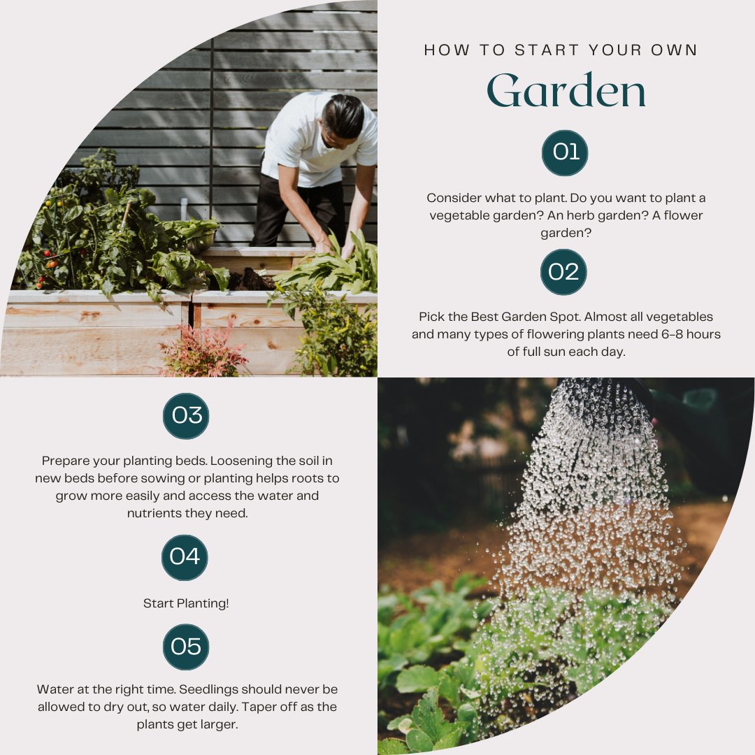 Ready to cultivate your own green paradise? 🌱🌸  

#GardeningTips #GreenThumb #HomeGarden #GrowYourOwn #DIYGarden #UrbanGarden #BackyardGarden #GardenInspiration #PlantingTips #Homegrown #OutdoorLiving #GardenGoals #SustainableLiving #HomeImprovement #GardenLove