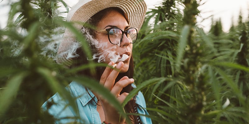 As use increases and legal regulations ease, it’s important to note that marijuana has never been proven to be safe—after all, cigarettes and alcohol are legal, too, but that doesn’t mean they’re not extremely harmful to health. bit.ly/3d0CYIo