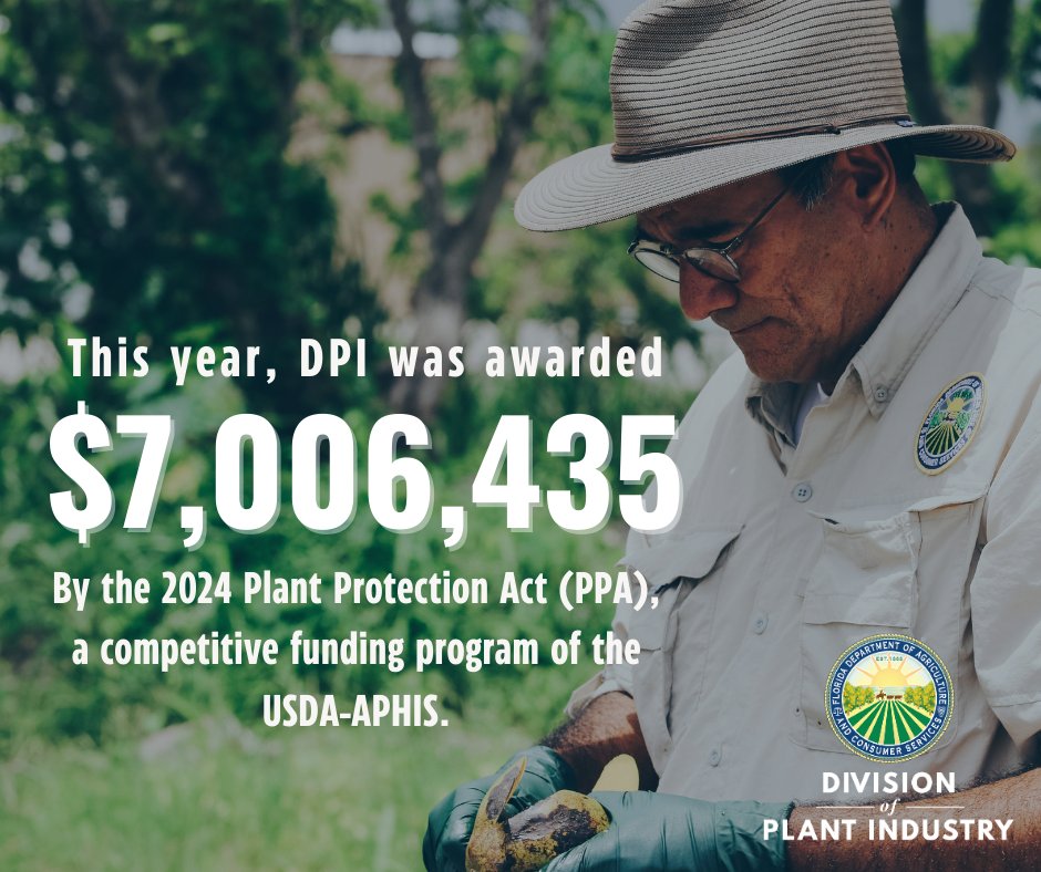 This year, FDACS-DPI will receive $7,006,435 from the 2024 Plant Protection Act (PPA), which will advance our mission of protecting Florida’s native and commercially grown 🌱plants and 🌾 agricultural resources. For the full breakdown, visit our blog: bit.ly/PPAFunding2024