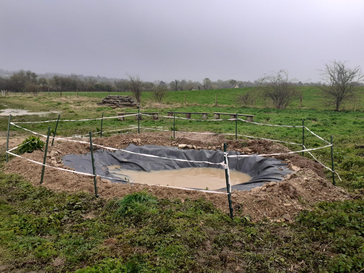 Small efforts make a big impact! 🌱 Our dedicated team members Tom, Clare, Steph, and Tyler, along with our amazing volunteers, have come together to create a pond at Greystones Farm Nature Reserve. 🏞️ Thanks to the recent rain, it's already halfway full!