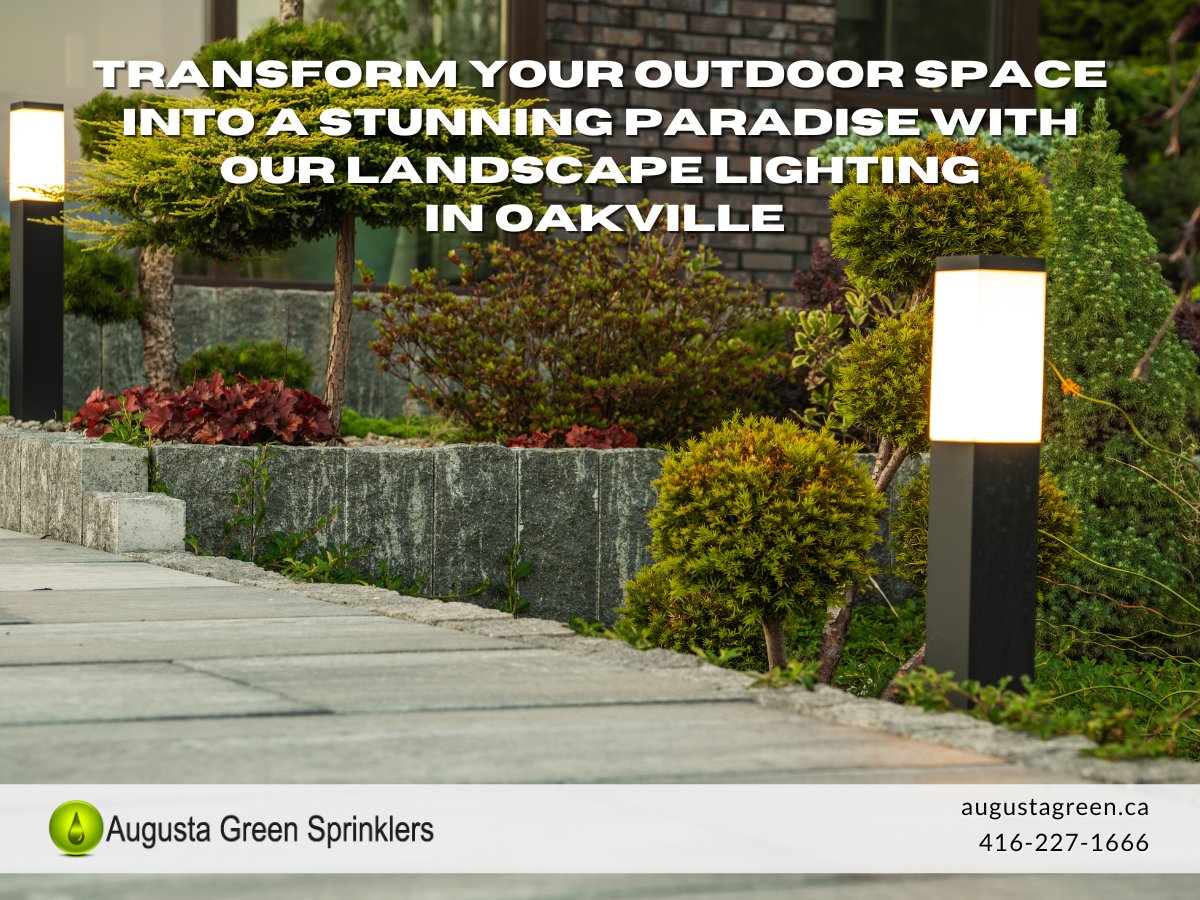 Transform your outdoor space into a stunning paradise with our Landscape Lighting in Oakville! ✨ Illuminate your nights and make your home more beautiful. Contact us today to schedule your consultation.

Learn more: augustagreen.ca/landscape-ligh…

#smartlighting #landscapelighting