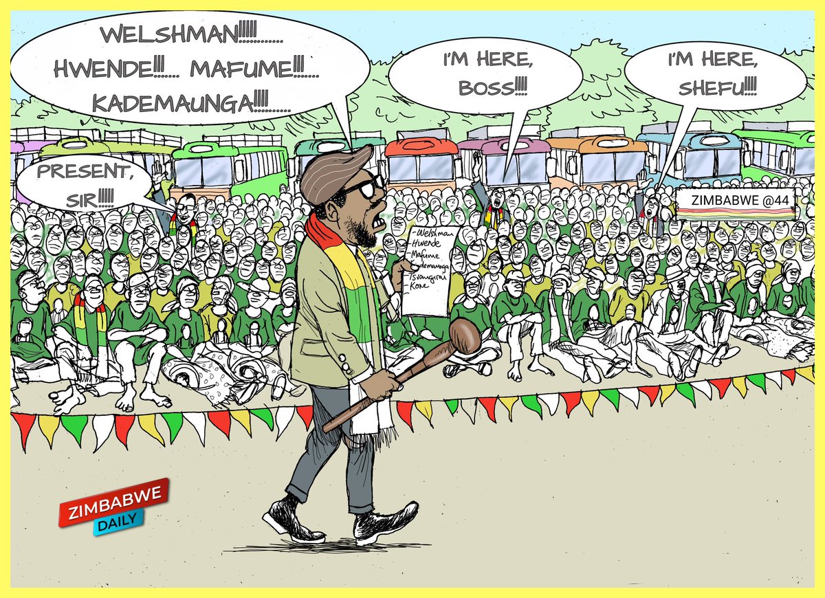 zimDaily (@zimdaily) on Twitter photo 