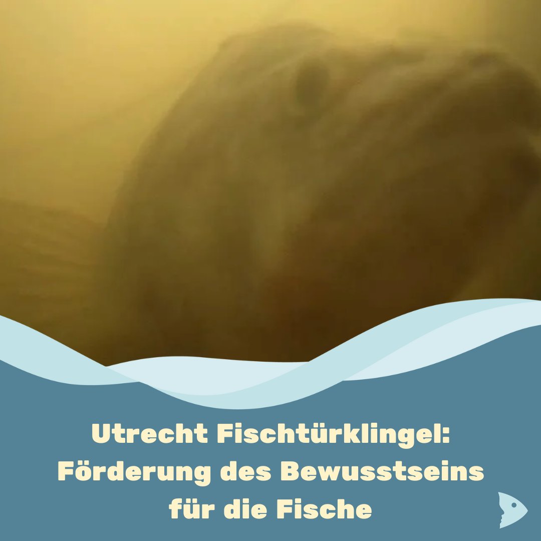 fair-fish tweet media