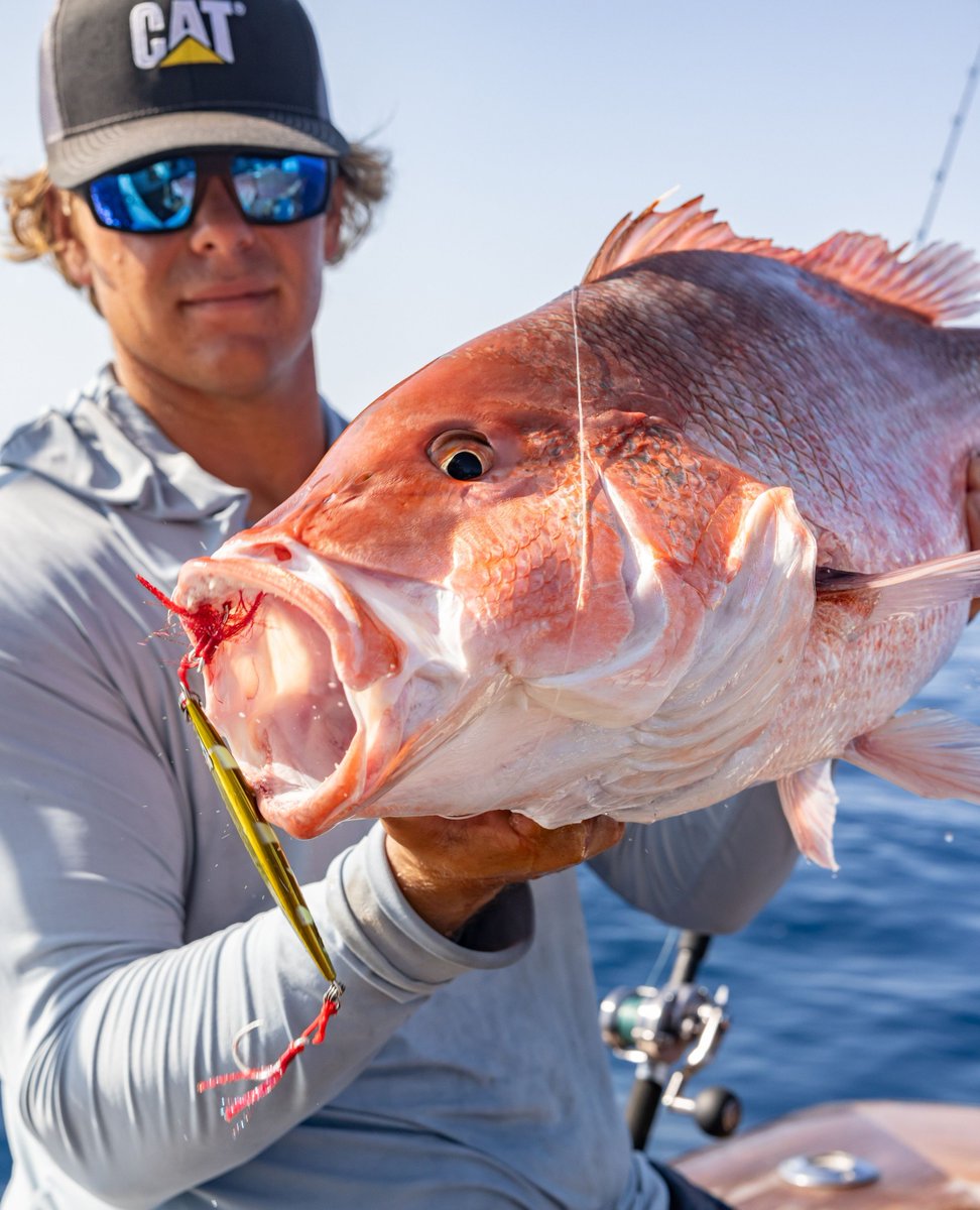 flsportfishing's tweet photo. With FSF's #JohnnyJigs species targeted jig kits, there's no guessing which jigs "might work." 

Get 20% OFF any FSF jig pack when you purchase one Johnny Jigs pack at full price. ⁠Get your gear now: https://t.co/eJPPizo4wV
⁠ https://t.co/nfEOks5j0u