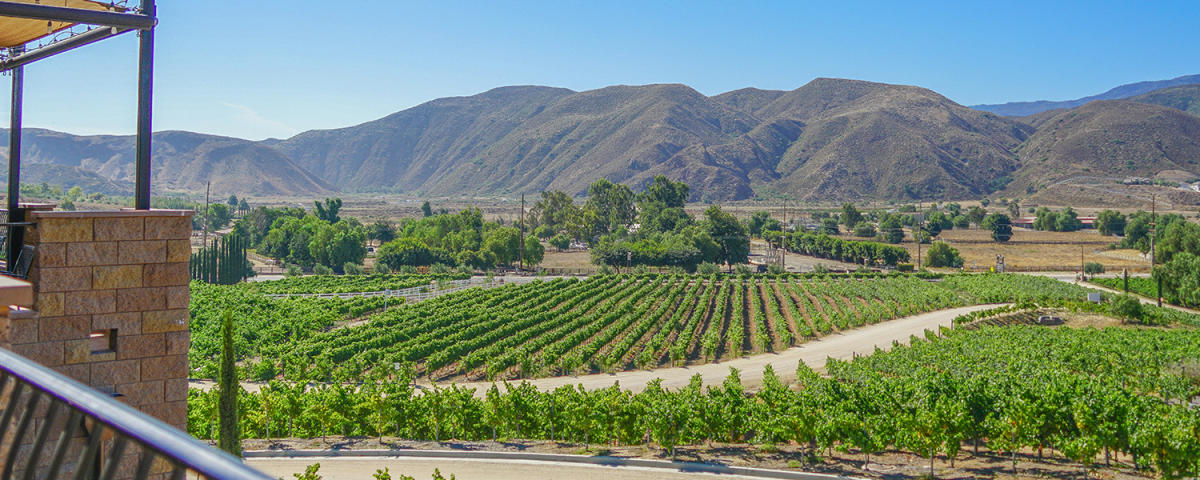 Discover the charm of Temecula Valley with 50+ wineries, hot air balloons, and vibrant Old Town! An adventure and relaxation haven an hour from SD and LA. 🍇🎈✨ #Travel #TemeculaValley #WineCountry #CaliforniaAdventure

ayr.app/l/gGo6