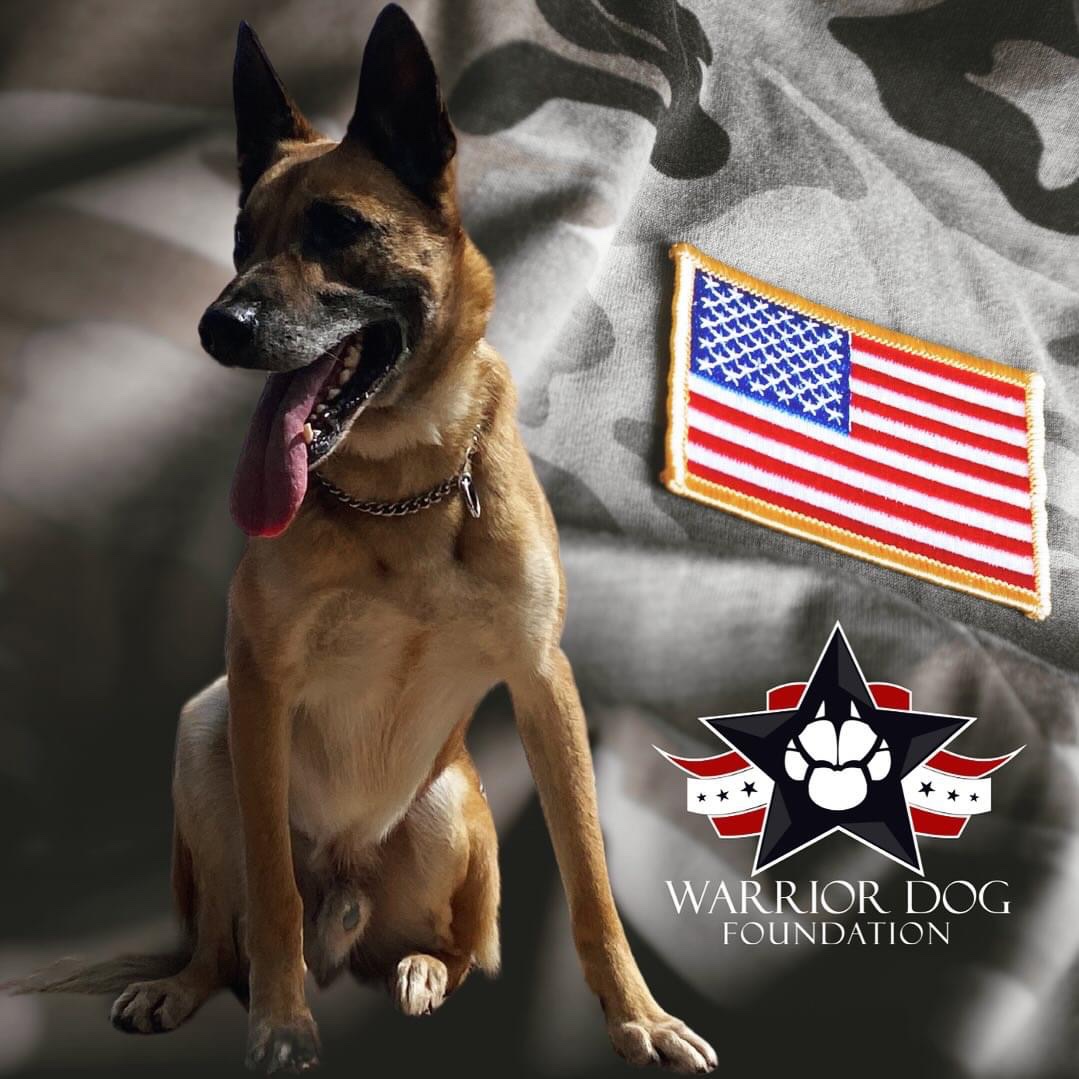 Retired Navy SEAL MPC & Warrior Dog Miki
• Call Sign  “Madman” & “X-Ray1”

Learn about his story @  warriordogfoundation.org
•
•
•
•
•
#k9 #workingdog #dogrescue #dogadoption #k9 #army #police #sheriff #navy #airforce #marines #coastguard #philanthropy #501c3