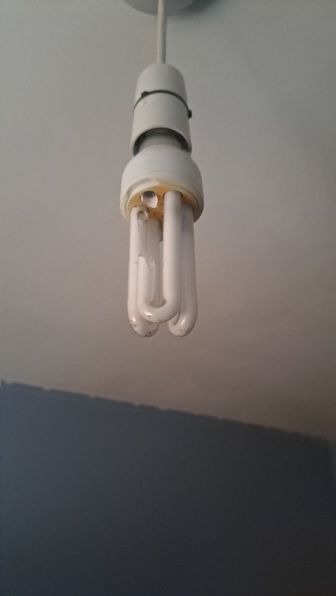 FNupdateNews's tweet photo. @GorillaTagVR I broke my light bc of your game https://t.co/1a1Dxlo0V0