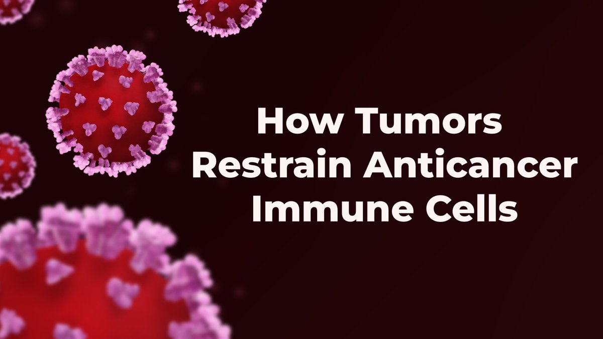 Penn Medicine researchers uncover a liver-based signaling pathway that protects tumors by restraining anticancer immune cells - please check the link for more ow.ly/M2Qv50RjTOl @PennMedicine #LiverCancer #CancerResearch  #ResearchDiscovery  #RareDiseases