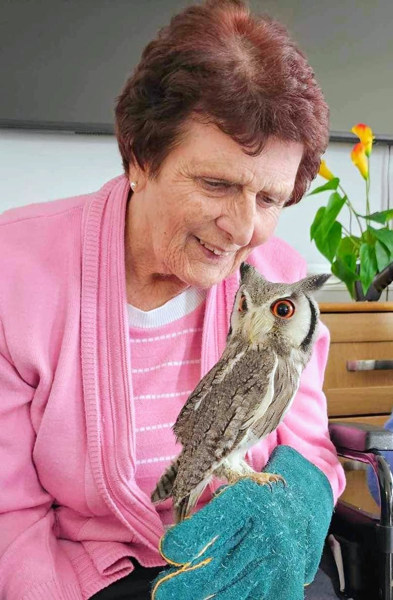 My darling mum having a lovely visit from some exotic animals. If you had told me she would be holding owls & snakes a few years ago I wouldn't have believed you! One of the strange changes that has happened since the diagnosis of Alzheimer's. Next stop 'I'm a celebrity' ?? 😂🥰