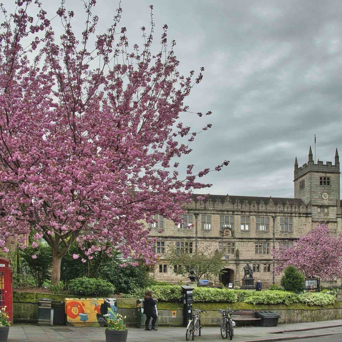 🌸 Shrewsbury Library + Castle Blossoms What else can we say? 😍 📷 Great pic Robert Gwilliam Want to see your photos here? Remember to tag #OriginalShrewsbury for the chance to be featured. #Shrewsbury #Shropshire #VisitShrewsbury #VisitShropshire