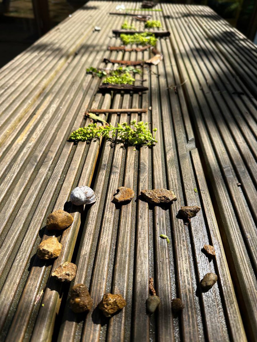 Glorious Forest School training today in a mix of rain and shine. We’re delivering accredited training for Islington’s Parks and #BrightStartIslington team members exploring the ethos and principles of Forest School. For bespoke courses for your group - get in touch! @IslingtonBC