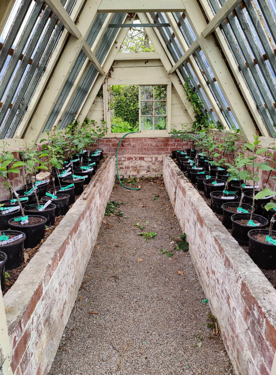 We’re looking for volunteers to help us on the Holnicote Estate as we restore the walled garden and develop our tree nursery. It’s a great opportunity to be involved in an exciting project which will have a lasting impact on our nature conservation work. bit.ly/HolnicoteTreeN…