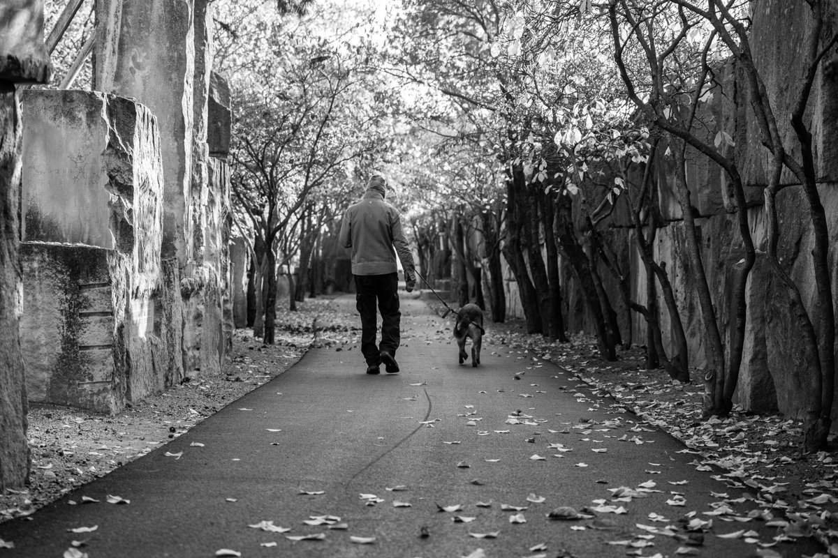 WhiteRiverStPrk's tweet photo. We decided today was a good day to see the park in black and white. No particular reason. It might just be the perfect time to sit in the park and read some of your favorite poetry. https://t.co/cXqRnu0gYv