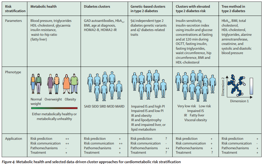 #Metabolic health and #cardiometabolic risk #clusters: implications for prediction, prevention, and treatment thelancet.com/journals/landi… #subphenotypes #diabetes #obesity #CVD