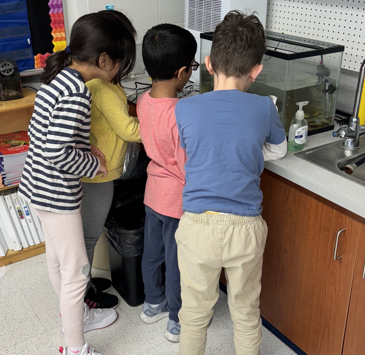 DoctorGemellaro's tweet photo. Grade 1 students @LivSchools are excited to study their 🐸 tadpoles! @BurnetHillElem @CollinsElemSch @HarrisonHawks90 @Hillside_Elem @NjMpe @RikerHillRams https://t.co/8atLlQiQ2f