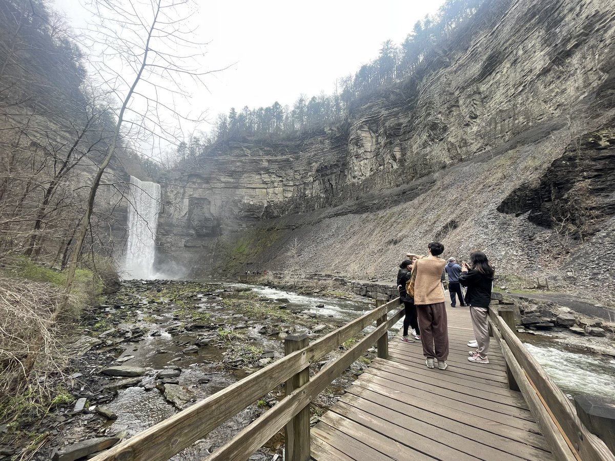 Marissa Evola Caruso tweet media