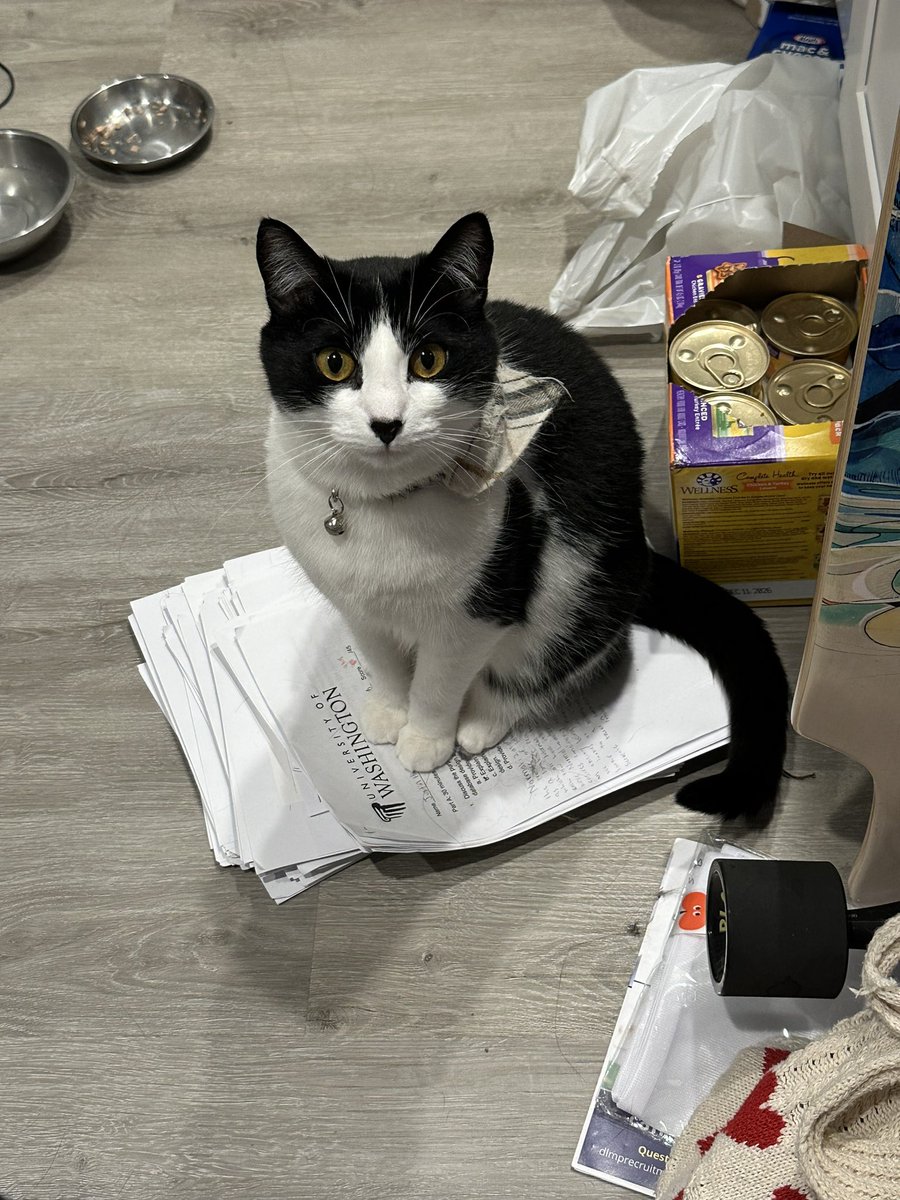 HiRiko/HUI tweet media