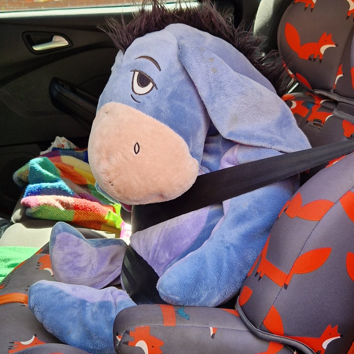6yo insisted that Eeyore came in the car today. He made me smile every time I caught sight of him in the rear view mirror.