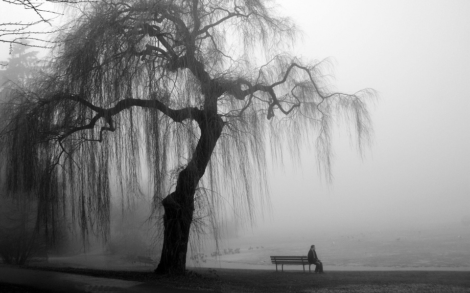 Parfois, nous avons besoin du brouillard pour nous rappeler que la vie n’est pas entièrement noire et blanche.