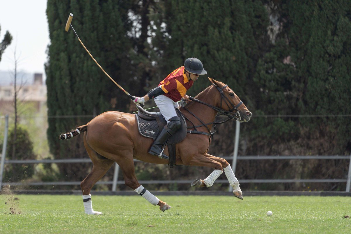 RCPoloBarcelona tweet picture