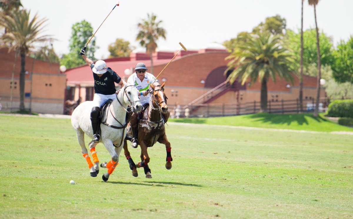 RCPoloBarcelona tweet picture