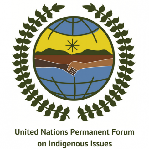 y_gala_lopez's tweet photo. On behalf of the delegation of #Cuba🇨🇺, today I spoke at the #PermanentForum on #IndigenousIssues. I expressed that little progress can be made in protecting the rights & well-being of indigenous peoples, as long as their right to self-determination is not recognized & realized. https://t.co/ocsAB0K8nR