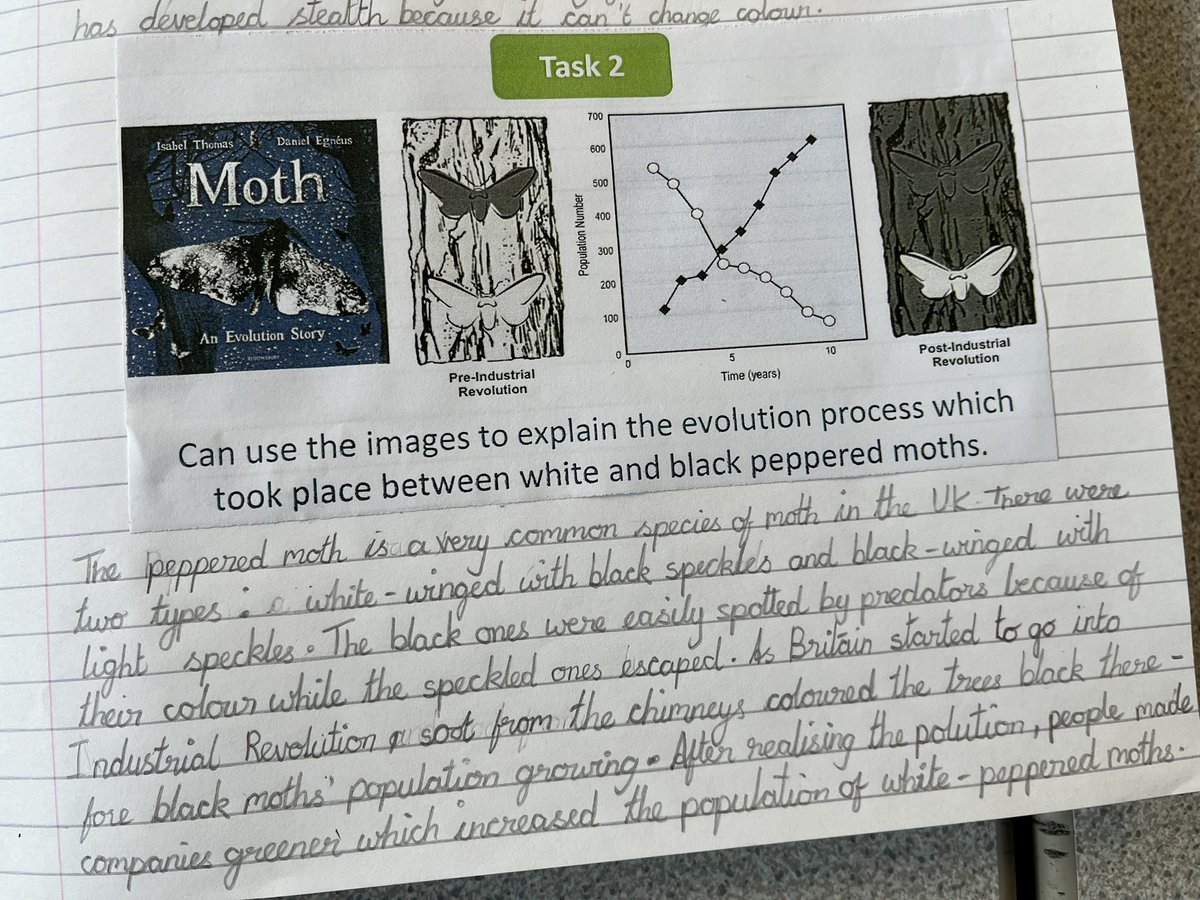 In #Year6 our #Science continued our evolution unit. Our #retrieval steered discussion on Darwin’s finches & natural selection. We explored two case studies. Foxes 🦊 & human impact on natural selection using ‘Moth’ by @isabelwriting #edutwitter #education #teachers