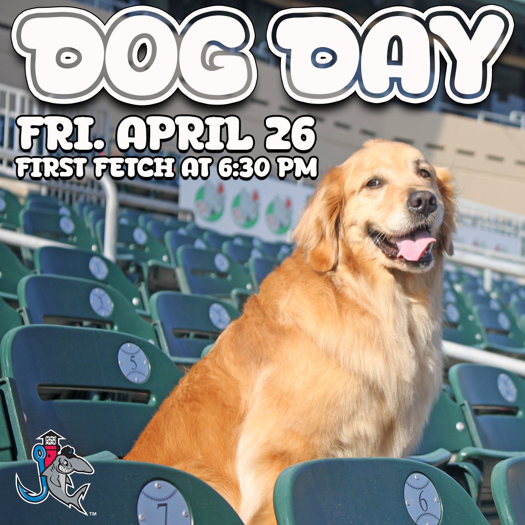 We're a week away from our first Dog Day of 2024! Join us at @RDCstadium for a tail-wagging good time on Friday, April 26th! All four-legged friends get in free with a paid ticket! 🐶⚾️ 🎟️: mlb.tickets.com/?agency=JUPV_P…