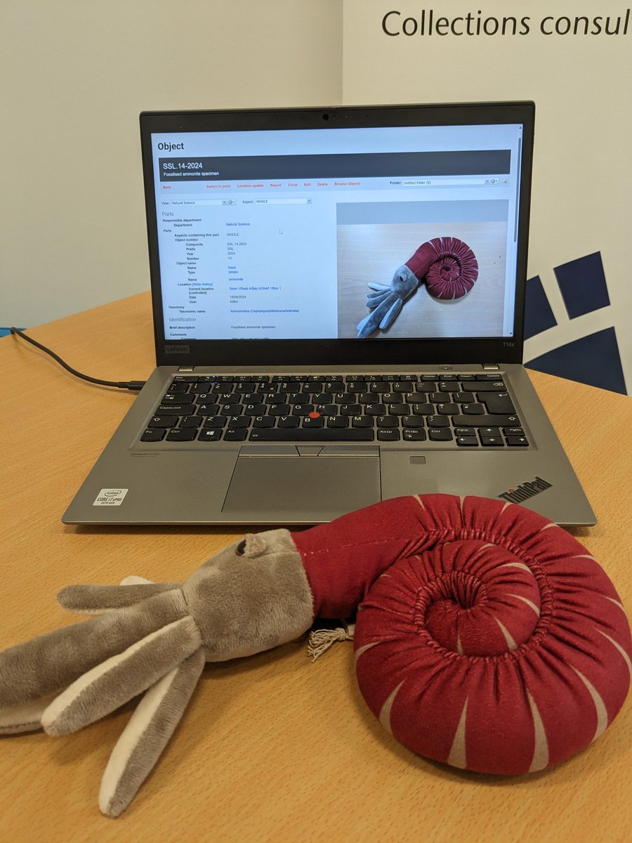 pezzco's tweet image. I assumed myself immensely today by demonstrating #collectionsindex using my gift shop purchase 😅
#museums #cms #collections #FossilFriday