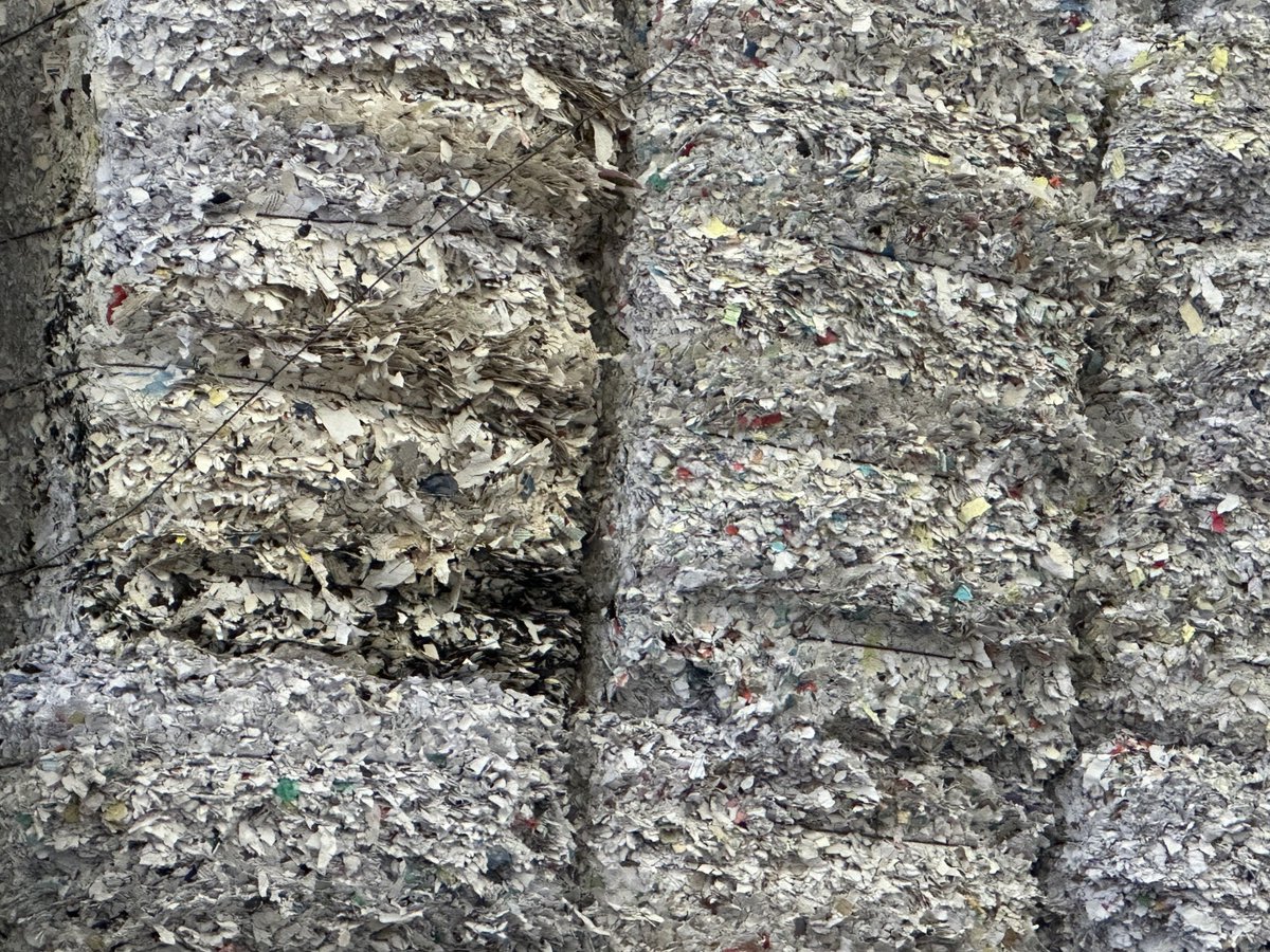 Elisabeth_S_S's tweet photo. Wussten Sie, dass aus diesen ursprünglich vertraulichen Akten Toilettenpapier gemacht wird? #LottnerRecycling #Reisswolf @_industrienacht https://t.co/hOx06l7fWU