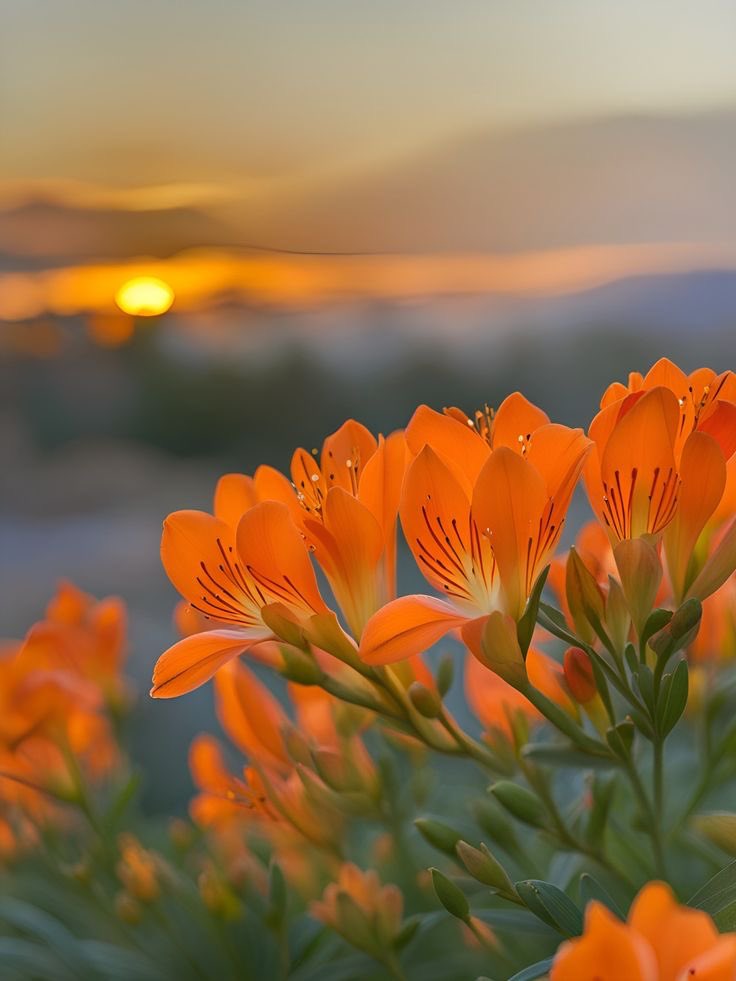 Weekend Loading. #NatureBeauty 💚🧡