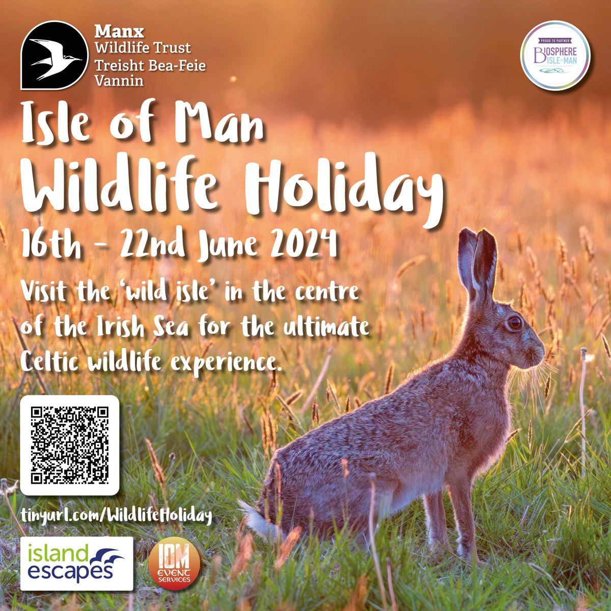 One to share! A wildlife experience for visitors to enjoy the wonders of the natural world in the Isle of Man! Luxury accommodation and a schedule packed with excursions led by local wildlife experts. Book now! tinyurl.com/WildlifeHoliday #TeamWilder #IsleofMan #Wildlifeholiday