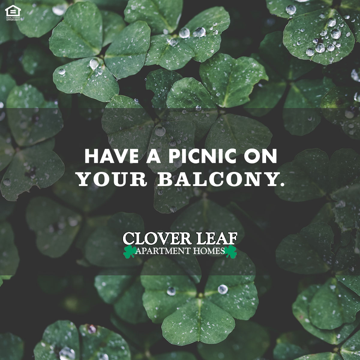 Enjoy #apartmentlife at #CloverLeaf and have a spontaneous spring #picnic on your private balcony or patio. 🌤🧀🍓