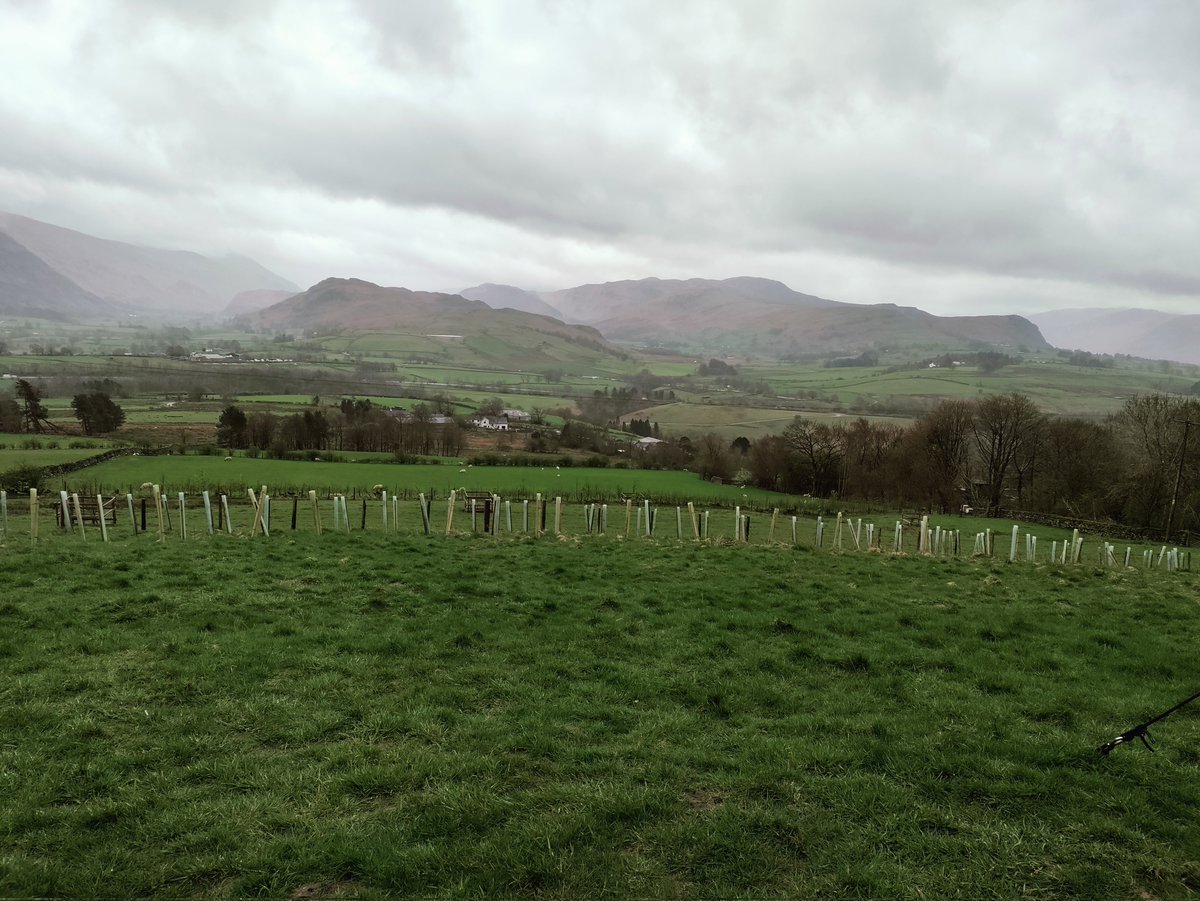 Jim McQuaid 🇺🇦 🇪🇺 tweet media