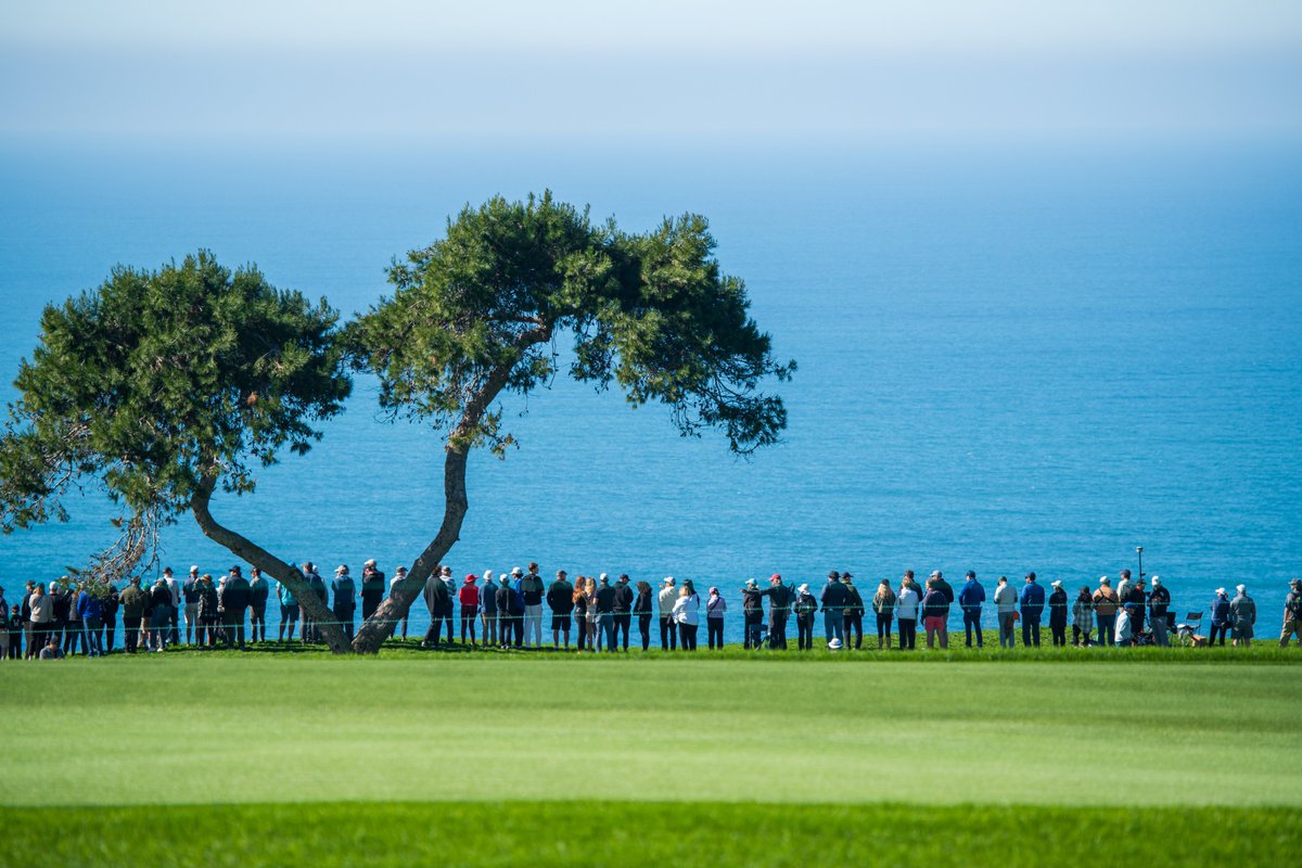 GolfTorrey's tweet photo. The 2024 @FarmersInsOpen was less than three months ago and we're already planning for the next  one! That's how much we love hosting the best golfers in the world. What was  your favorite moment from this year's tournament? https://t.co/wHIqPBmwc6