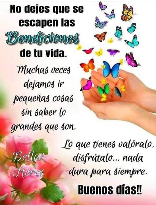 Bdía!  Les dese muchas bendiciones en sus vidas🙏