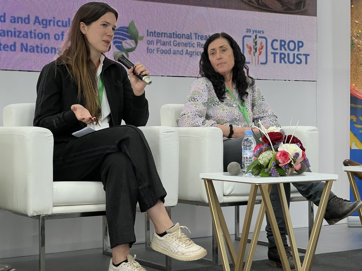 CropTrust's tweet photo. During the afternoon panel at Crop Diversity Day in Rabat, scientists collaborate on envisioning the future of crop diversity and exploring strategies to harmonize the utilization and conservation of plant genetic resources by bolstering #genebanks globally.

#SeedsToSolutions https://t.co/lAVaMZiVDj