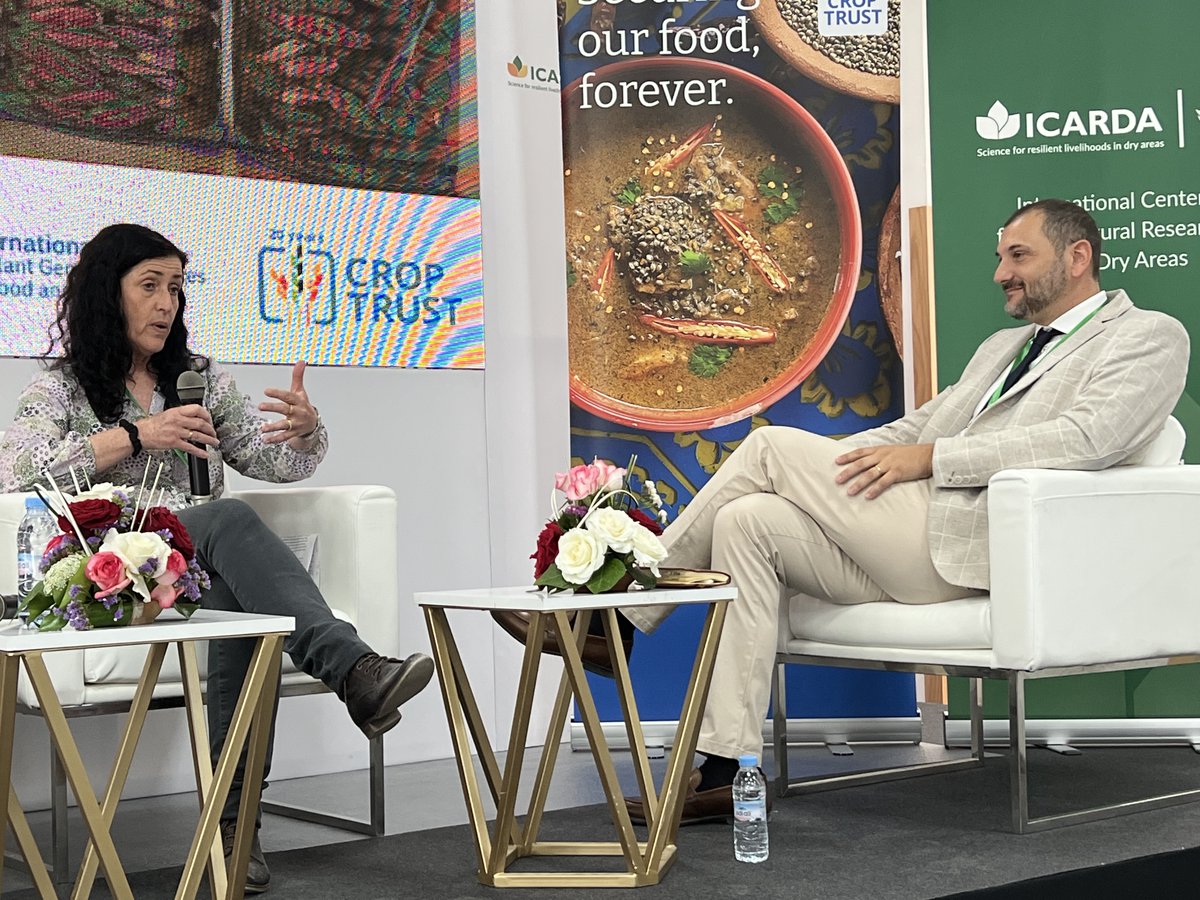 CropTrust's tweet photo. During the afternoon panel at Crop Diversity Day in Rabat, scientists collaborate on envisioning the future of crop diversity and exploring strategies to harmonize the utilization and conservation of plant genetic resources by bolstering #genebanks globally.

#SeedsToSolutions https://t.co/lAVaMZiVDj