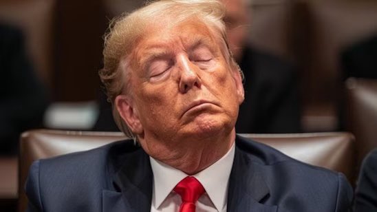 I’m pretty sure the guy who can’t make it 5 minutes in a courtroom without falling asleep was not in fact “making many calls and having many meetings” when he was in the White House.