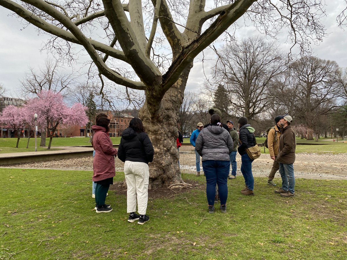 pittsburghparks tweet picture