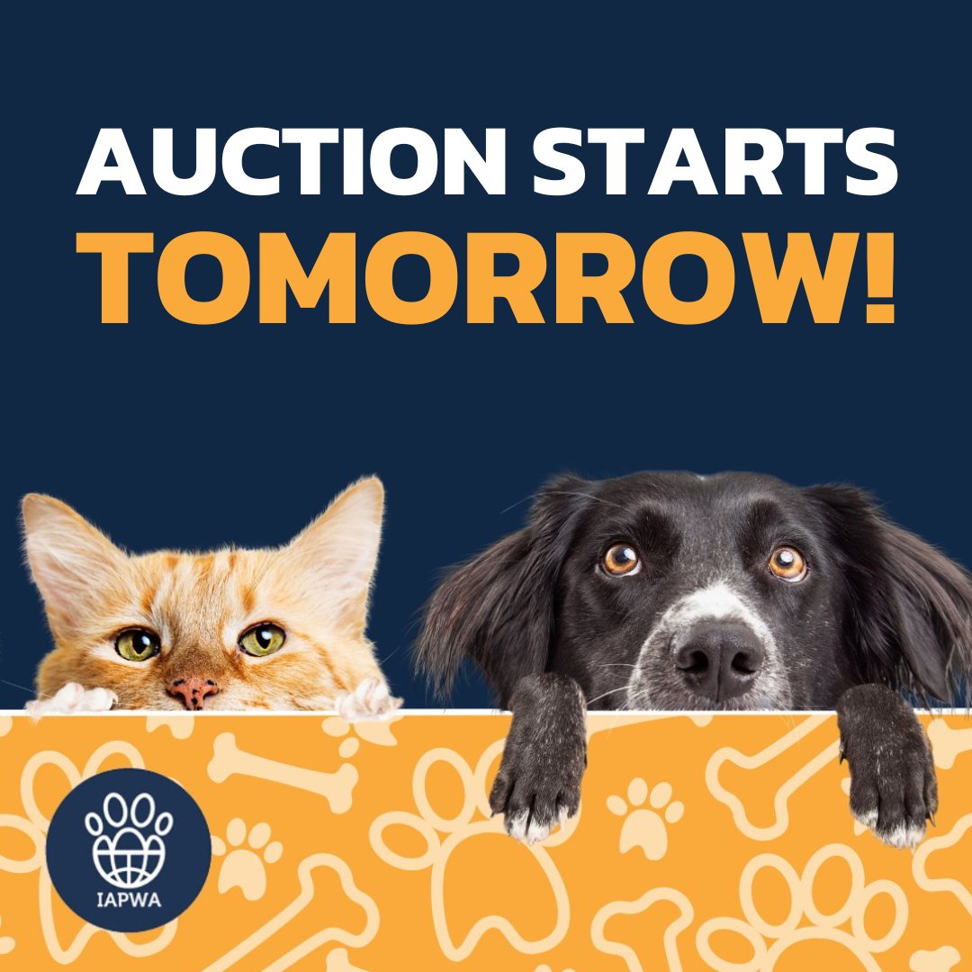 Want to snap up some bargains while supporting animals in need? Our monthly Auction for Animals starts tomorrow! We've got a brilliant range of items coming your way, with all proceeds going directly to IAPWA 🐾💙 Head to our Facebook group to join in: facebook.com/groups/iapwaau…