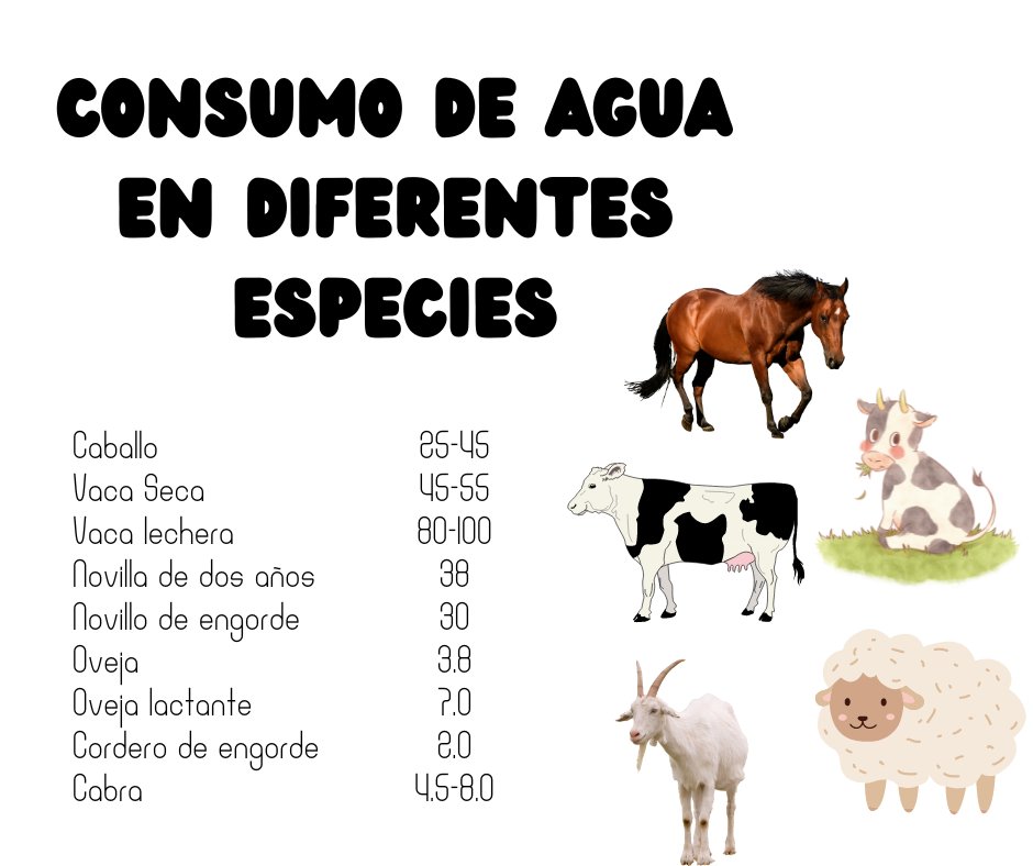 Consumo de agua en diferentes especies. 💦
#ConstruyendoGanaderia
@fedegan
@jflafaurie 
@PLguachucalFNG